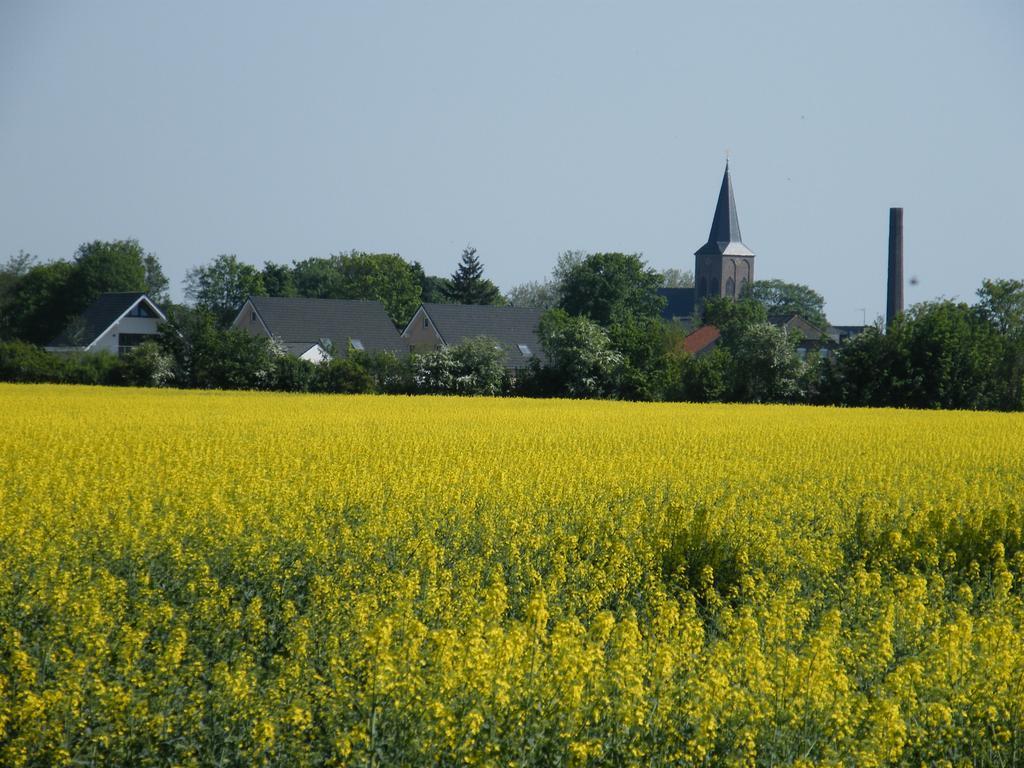 Haus Rheinblick Bed and Breakfast Grieth Buitenkant foto